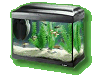 Aquarium