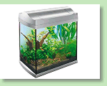 Tetra AquaArt Aquarium Aquarium
