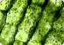 Chlorophyll wird auch als Blattgrün bezeichnet