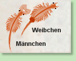 Mnnchen und Weibchen