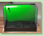 Bodengrund einfüllen Aquarium mit Bodengrund