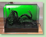 Dekoration platzieren Aquarium mit Dekoration
