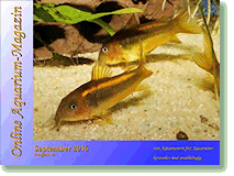 Ausgabe September 2016 Online Aquarium-Magazin