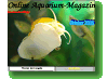 Online Aquarium-Magazin