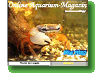 Online Aquarium-Magazin