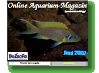 Online Aquarium-Magazin