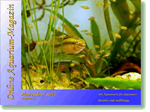 Online Aquarium-Magazin