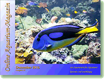 Online Aquarium-Magazin