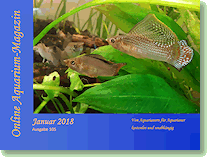 Online Aquarium-Magazin